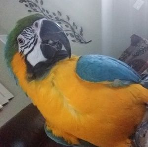 Meet your Posher, Lisa